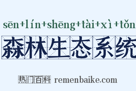 森林生态系统是什么意思的图片